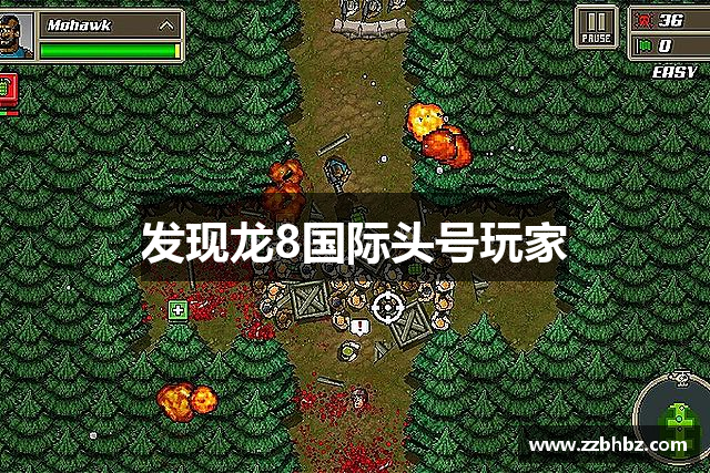 发现龙8国际头号玩家